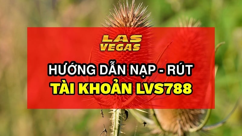 LVS788 - Thương Hiệu Cá Cược Đình Đám Không Nên Bỏ Lỡ