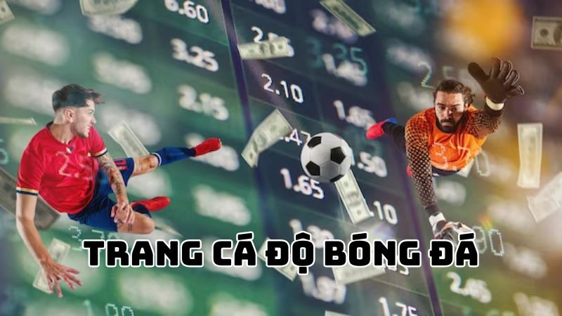 Top 5+ Trang Web Cá Độ Bóng Đá Uy Tín Tại Việt Nam 2024