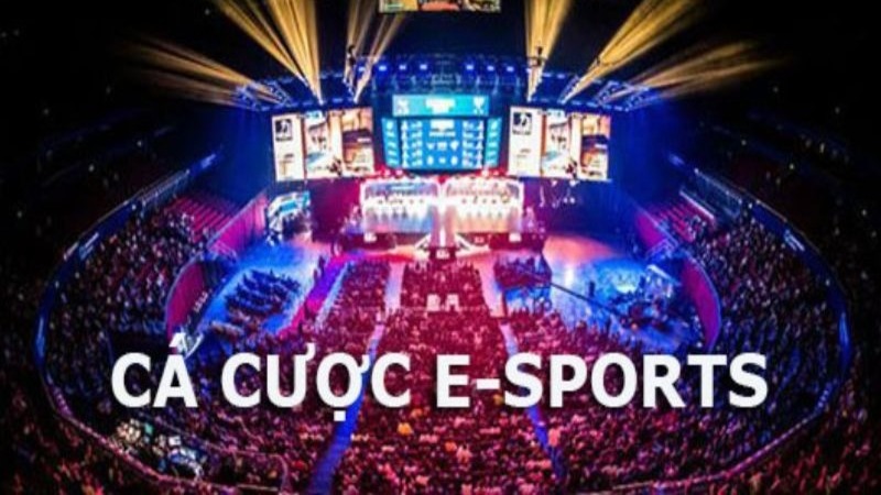 Cá cược esport - Sân chơi đa dạng với nhiều hình thức cược