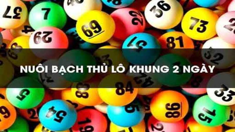 Bạch thủ lô khung 2 ngày - Chiến lược thắng lớn