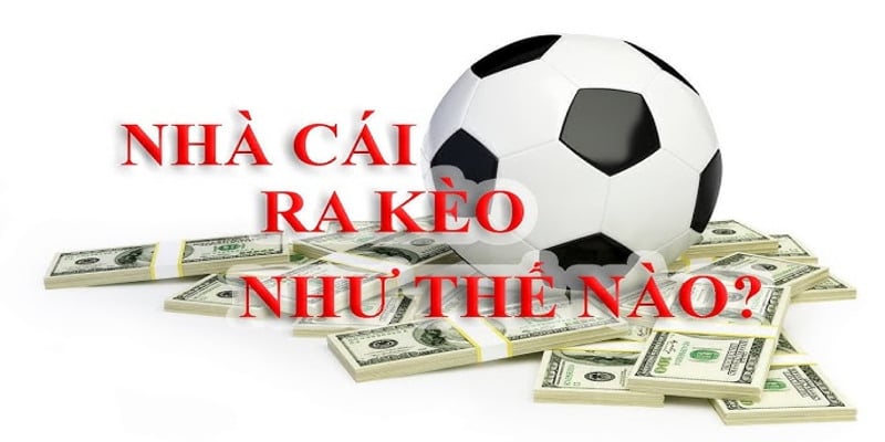 Nhà cái 8Xbet: Lựa chọn hoàn hảo cho người đam mê cá cược