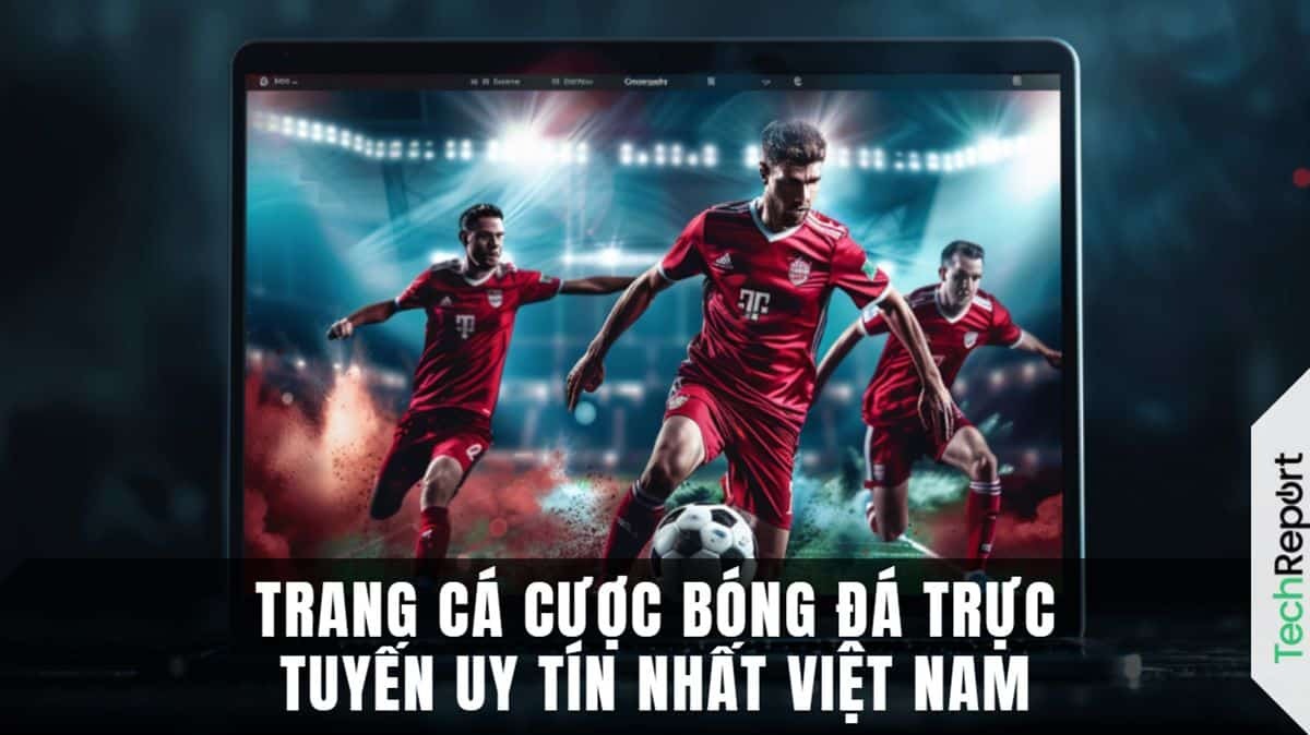 Top 5+ Trang Web Cá Độ Bóng Đá Uy Tín Tại Việt Nam 2024