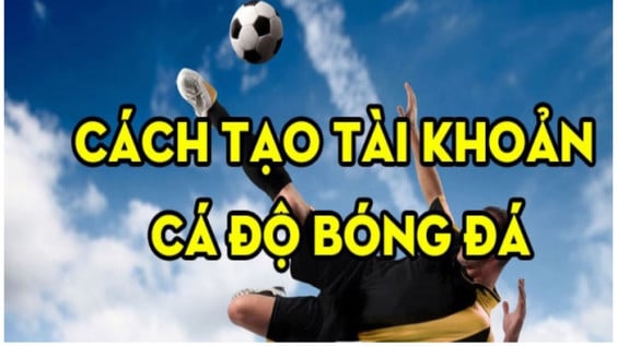 10 Trang Cá Độ Bóng Đá Uy Tín Hàng Đầu Việt Nam Năm 2024