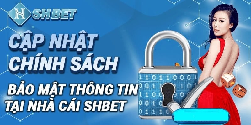 Shbet - Sân chơi cá cược đẳng cấp, uy tín Việt Nam