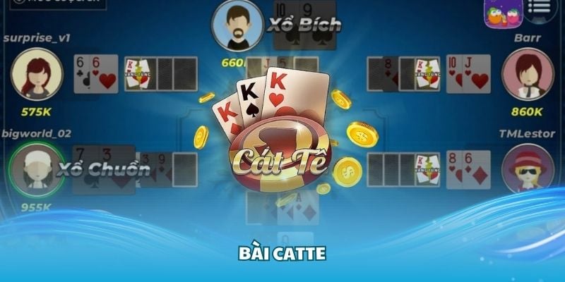 Cách chơi game bài Catte - Chơi vui, thắng lớn với chiến thuật cực đỉnh