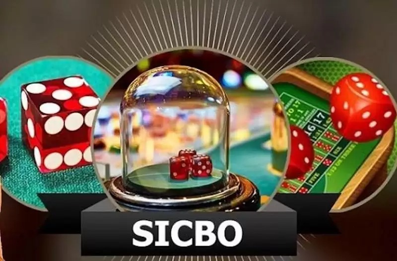 Sicbo - Trò chơi xúc sắc lôi cuốn với tỷ lệ thưởng cực cao